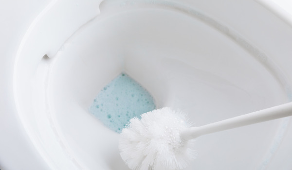 Como cuidar da escova de sanita?