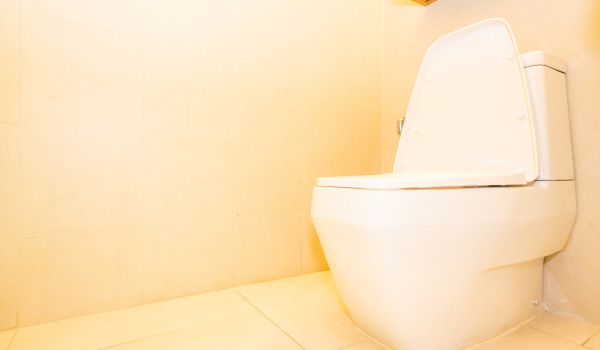 Que conjunto sanitário embutido para WC escolher?