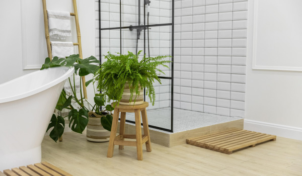 5 melhores flores para cultivar na casa de banho