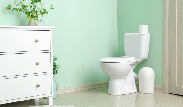 Sanita com revestimento protetor ou não?