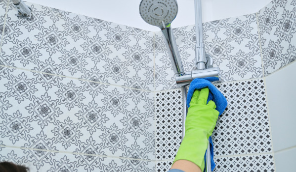 Como limpar a mangueira e a cabeça do duche?